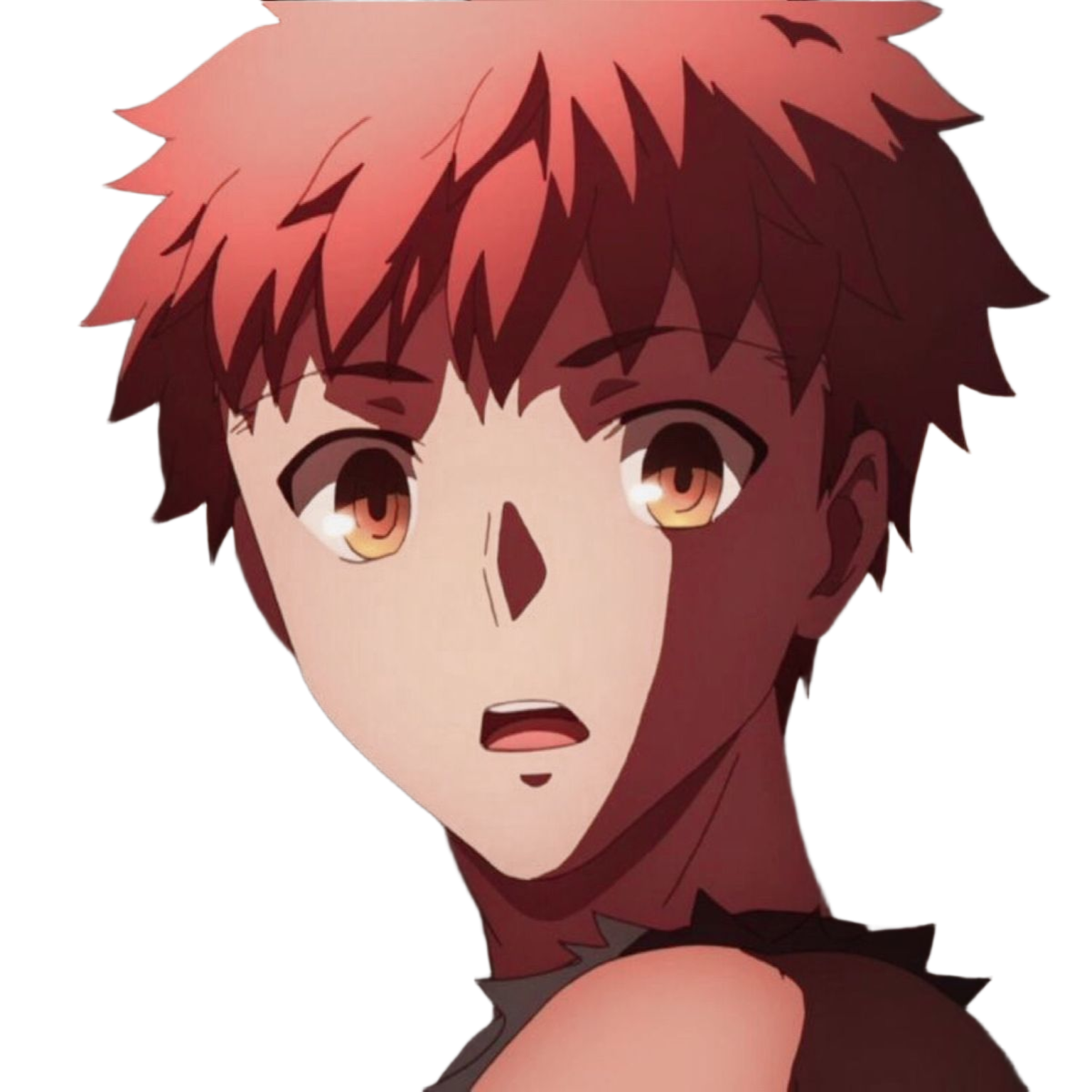 Emiya Shirou - Expression 1