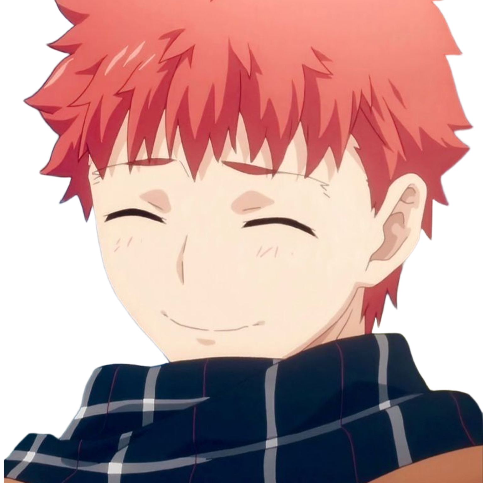 Emiya Shirou - Expression 2