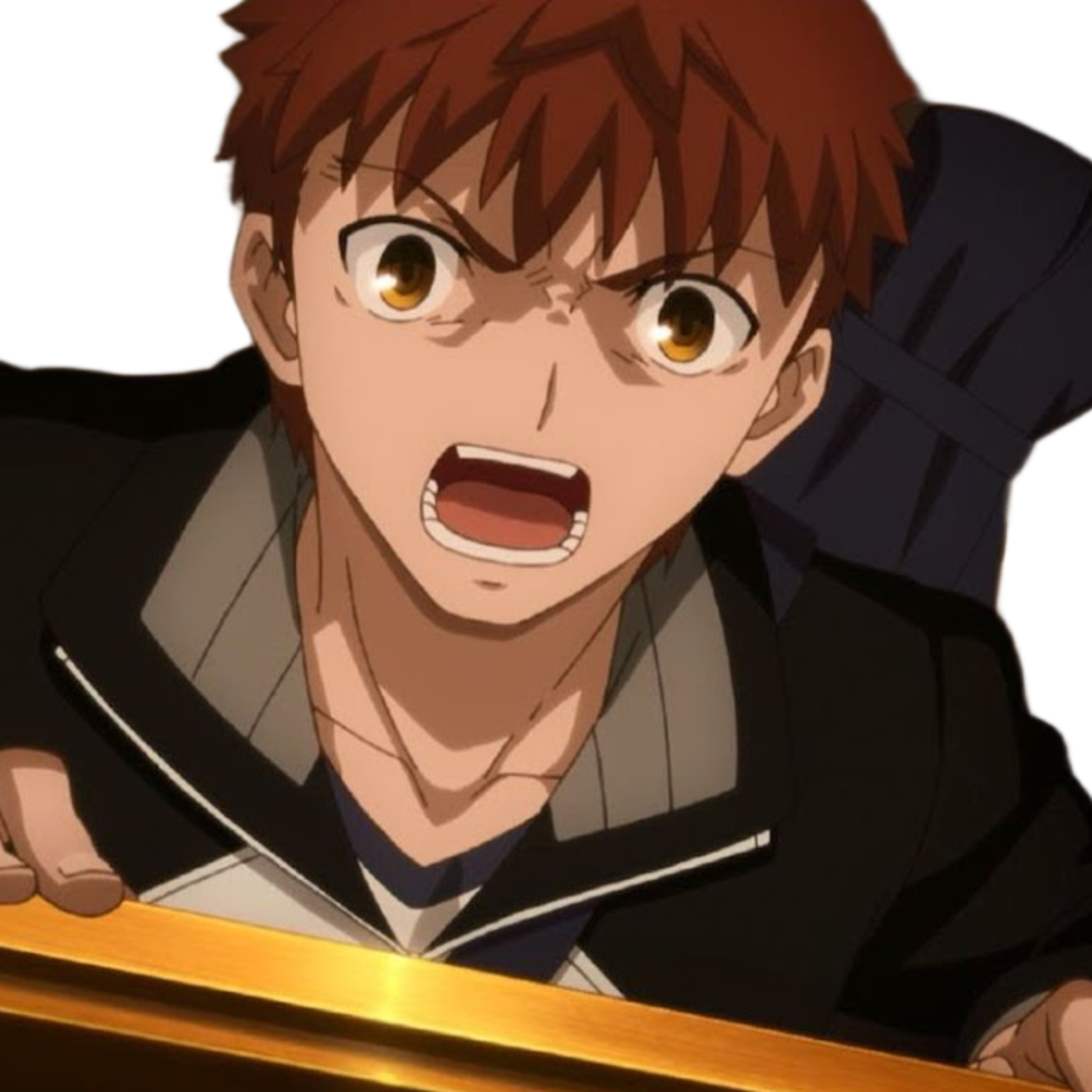Emiya Shirou - Expression 3
