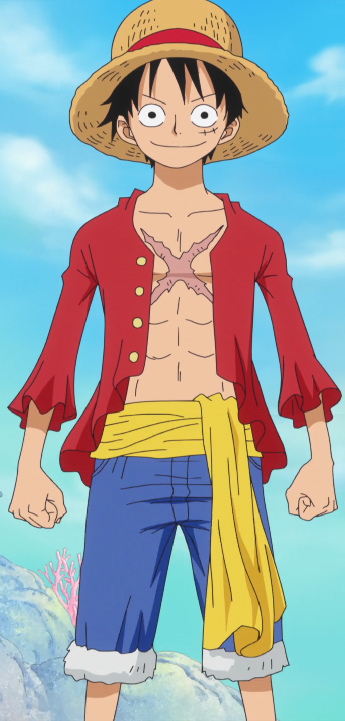 Monkey D. Luffy - Full Body