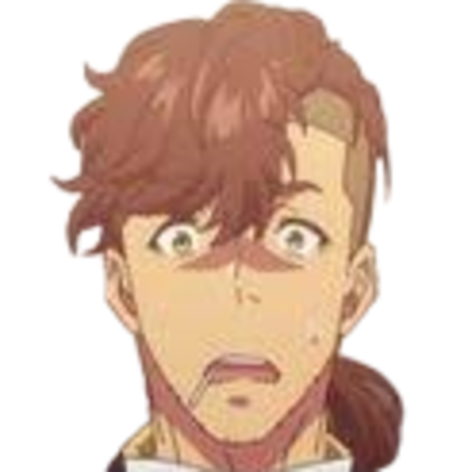 Trainer - Expression 2