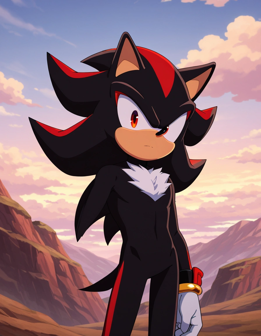 Shadow the Hedgehog