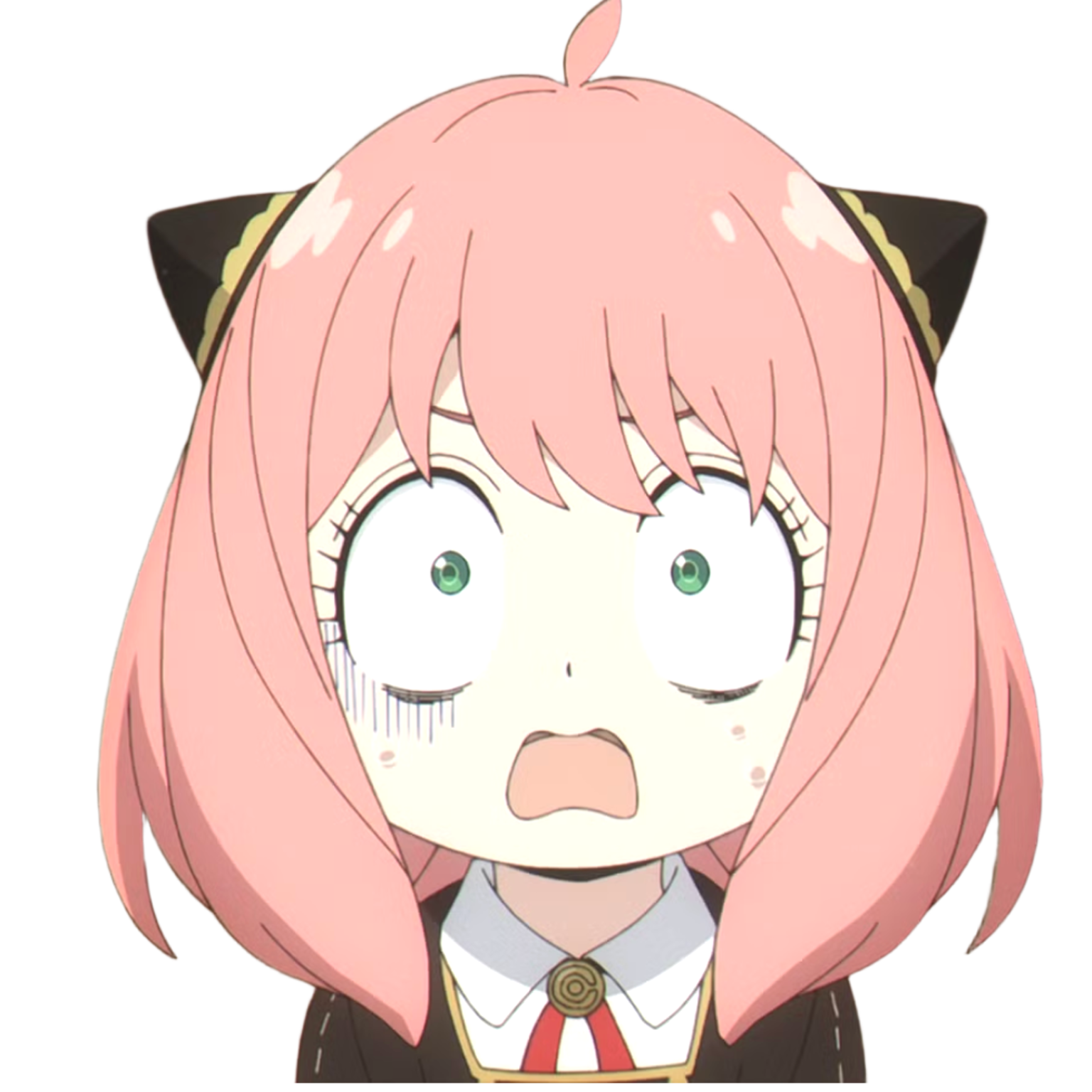 Anya Forger - Expression 3