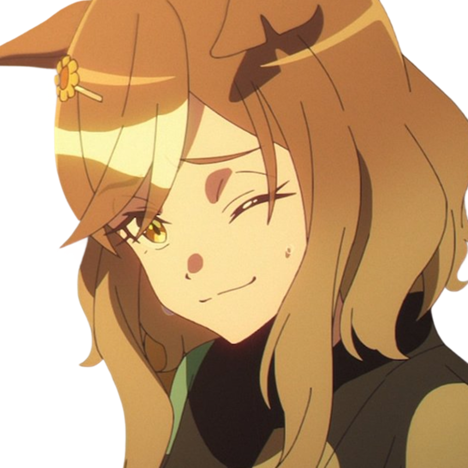 Jungle Pocket - Expression 2