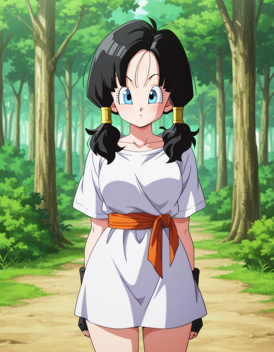 Videl