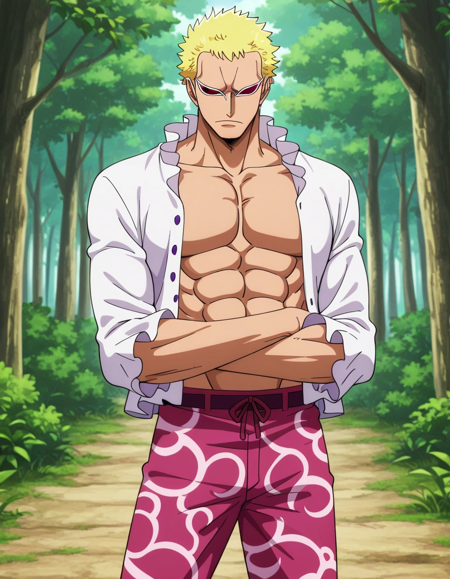 Donquixote Doflamingo