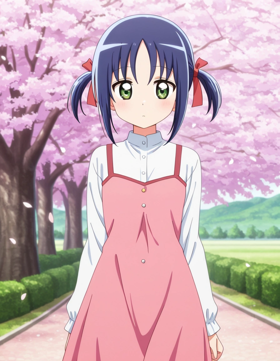 Nishizawa Ayumu