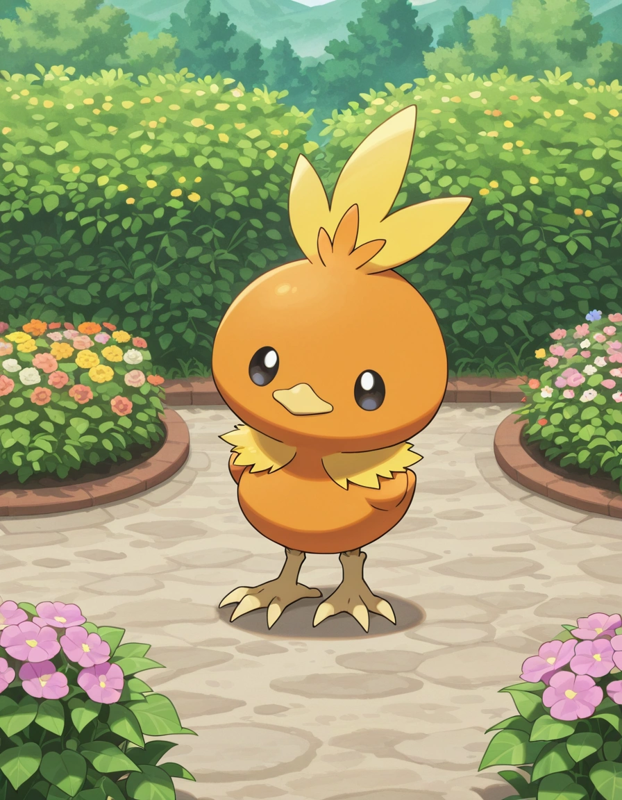 Torchic