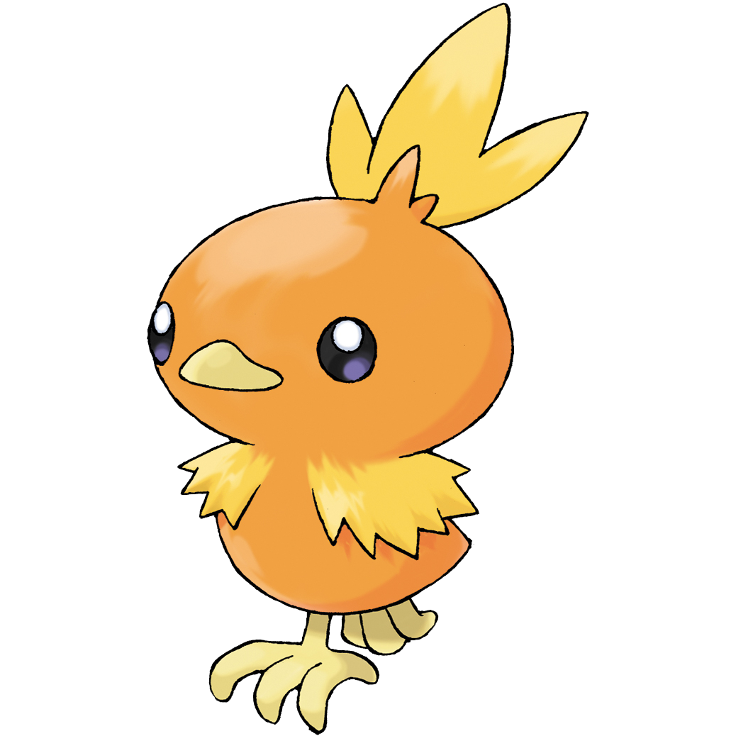 Torchic - Full Body