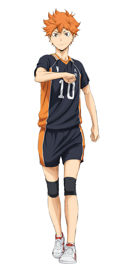 Hinata Shouyou - Full Body