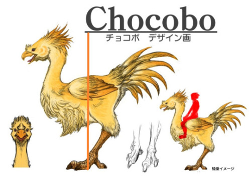 Chocobo - Full Body