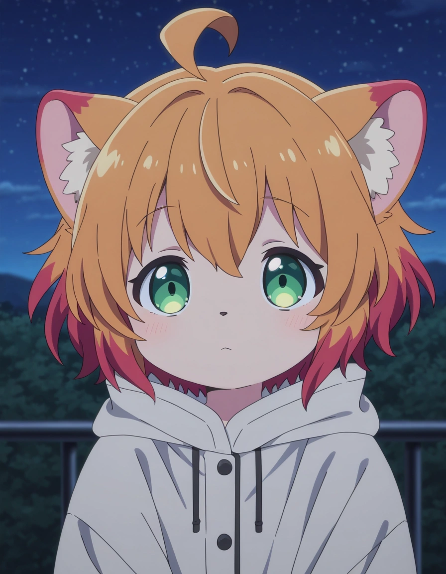Potemayo