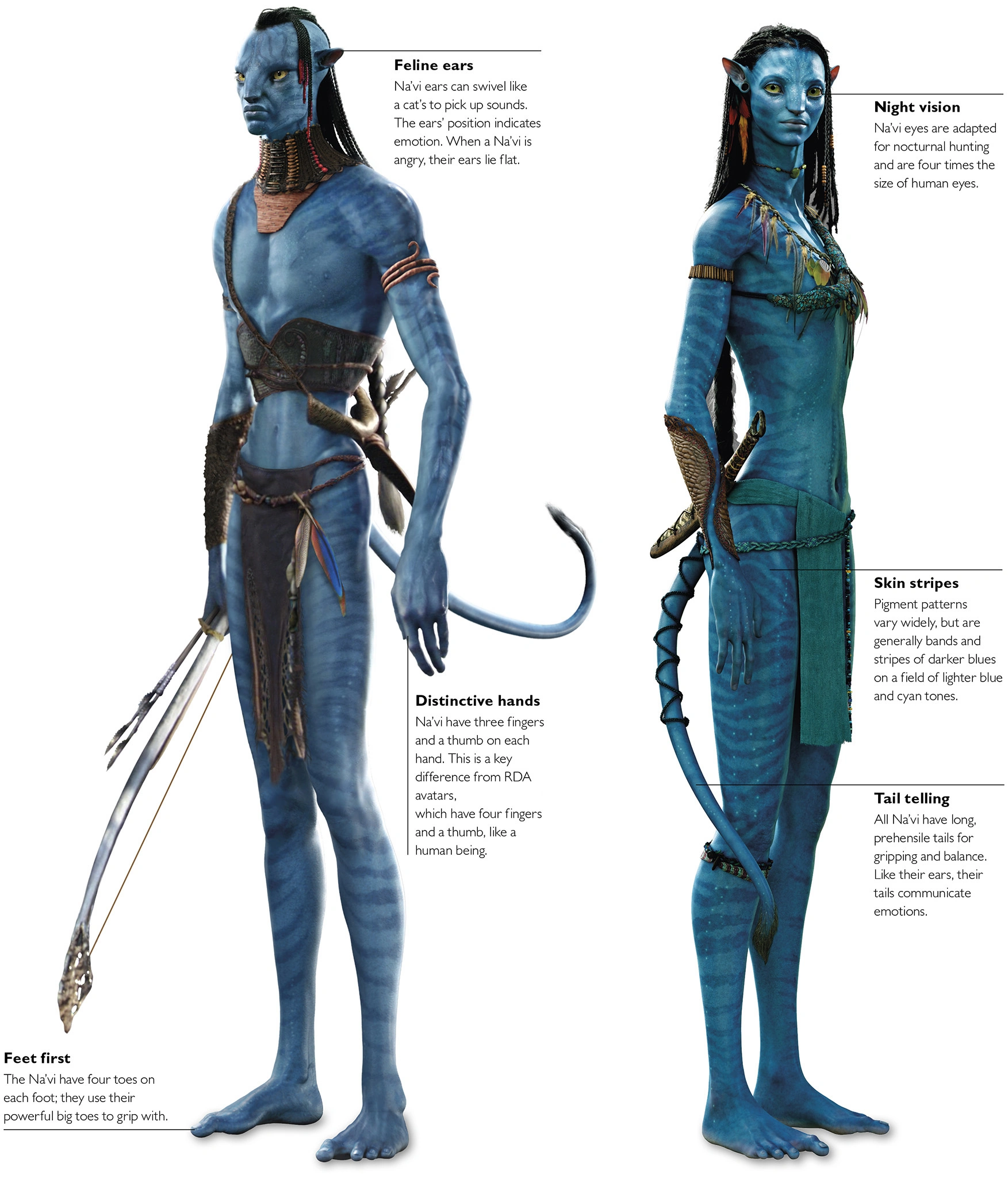 Navi - Full Body
