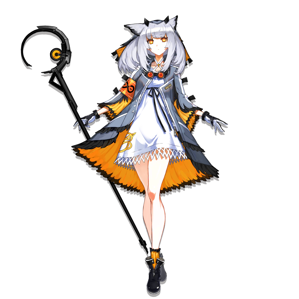 Ptilopsis - Full Body