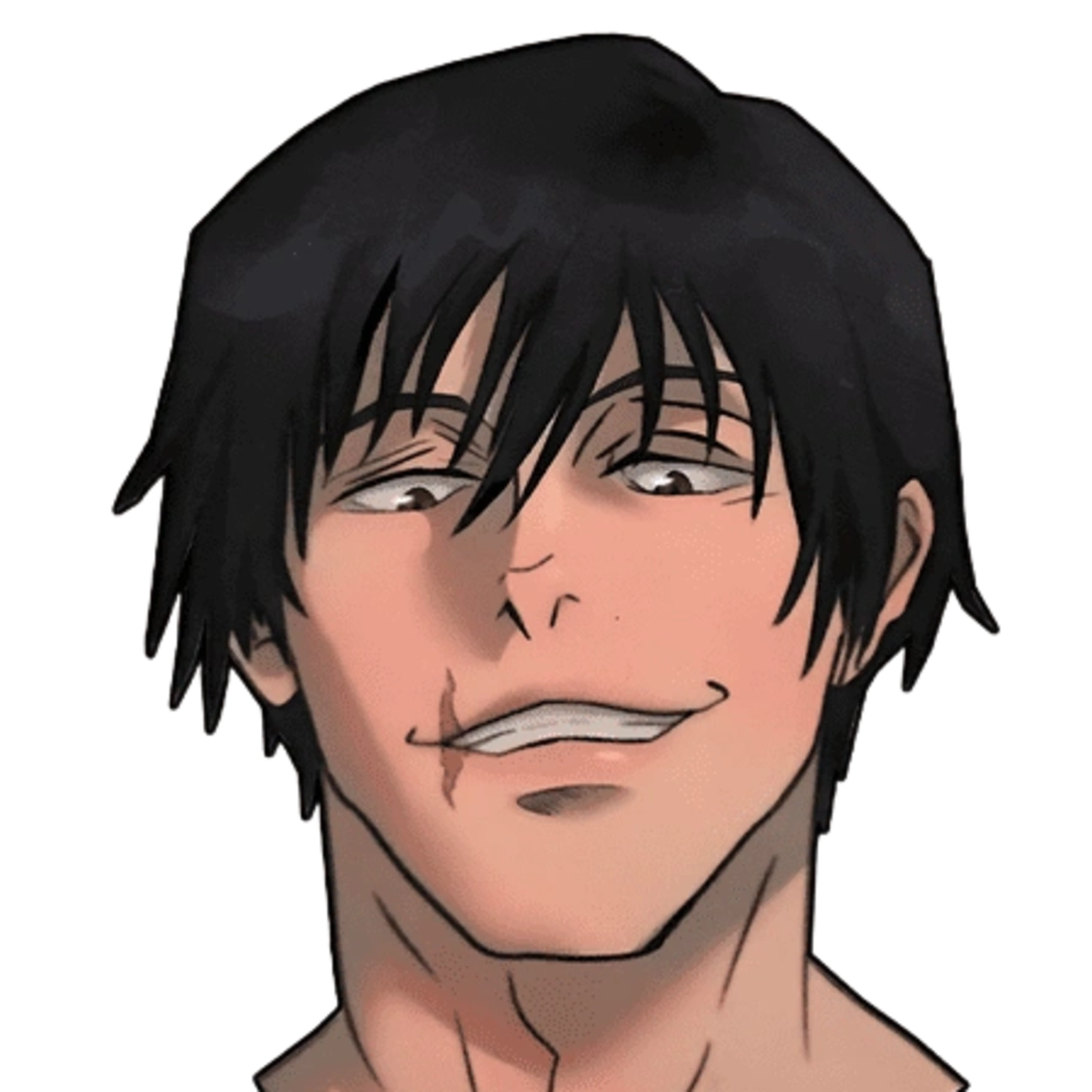 Toji Fushiguro  - Expression 2