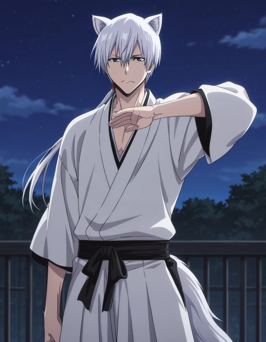 Ichimaru Gin