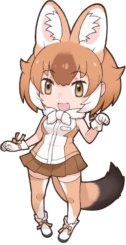 Dhole - Full Body