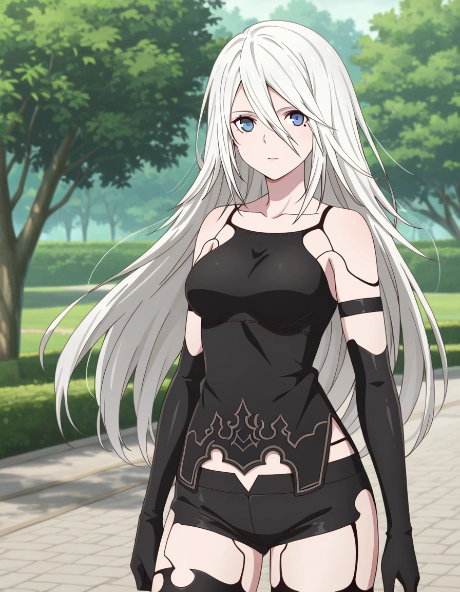 A2