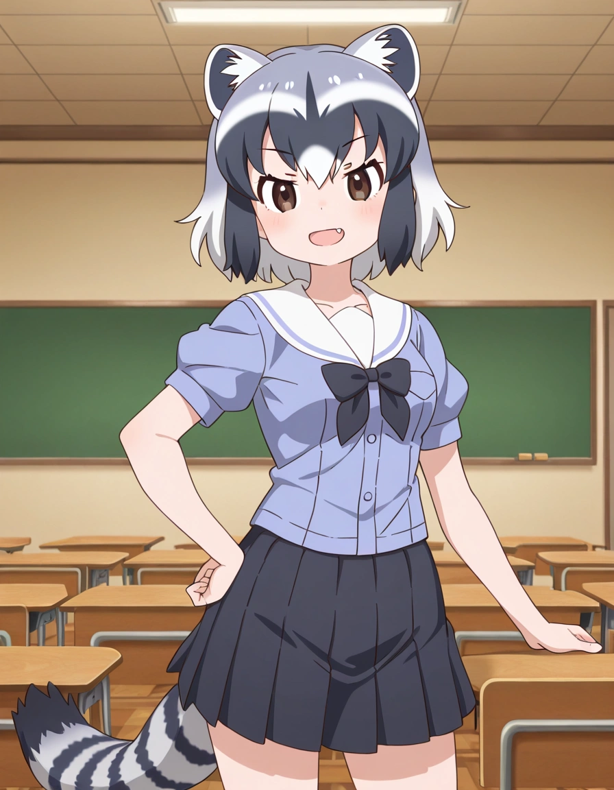 Common Raccoon