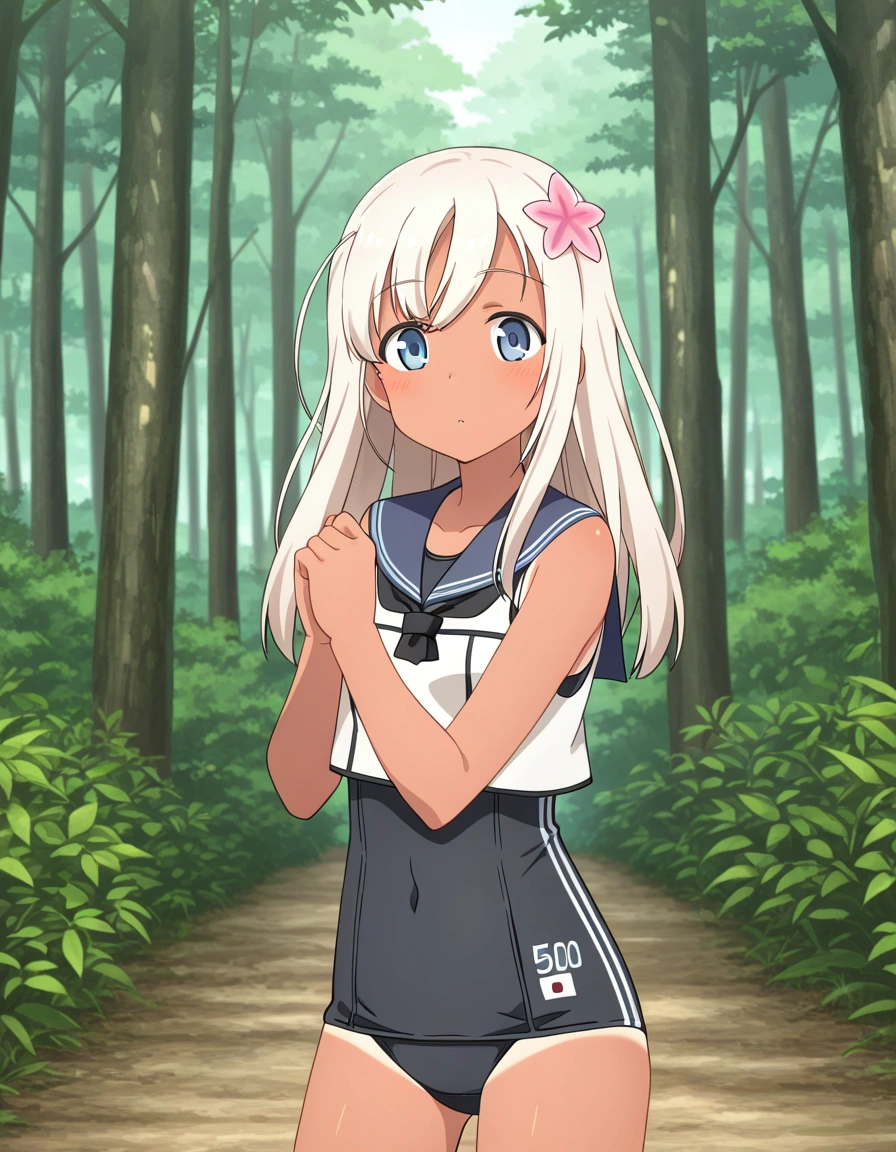 RO-500
