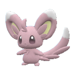 Minccino - Full Body