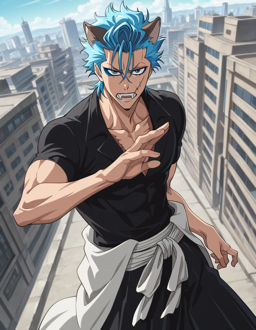 Grimmjow Jaegerjaquez