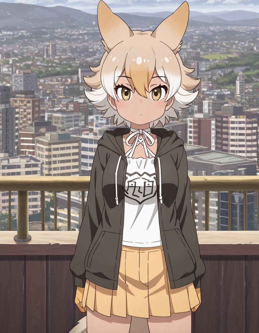 Coyote