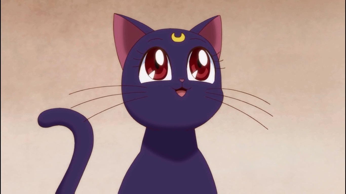 Luna - Full Body