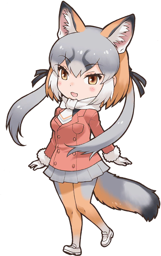 Island Fox - Full Body