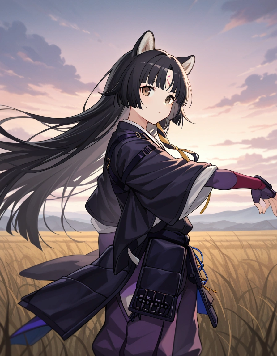 Saga