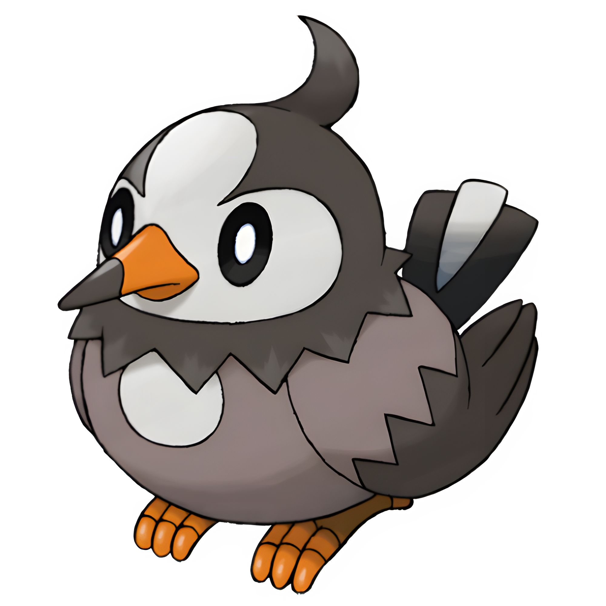 Starly - Full Body