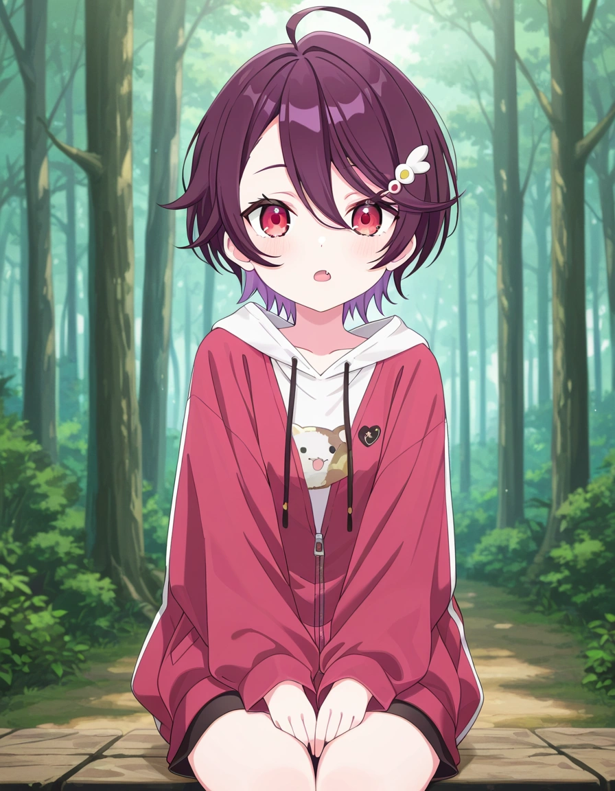 Solari Riko