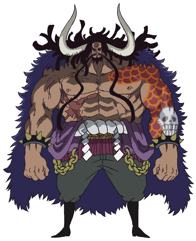 Kaido - Full Body