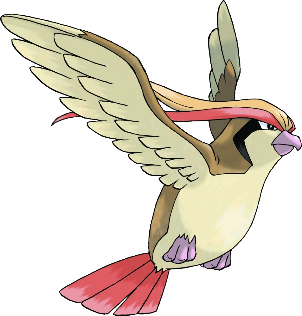 Pidgeot - Full Body