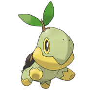 Turtwig - Full Body