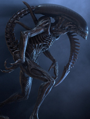 Xenomorph - Full Body