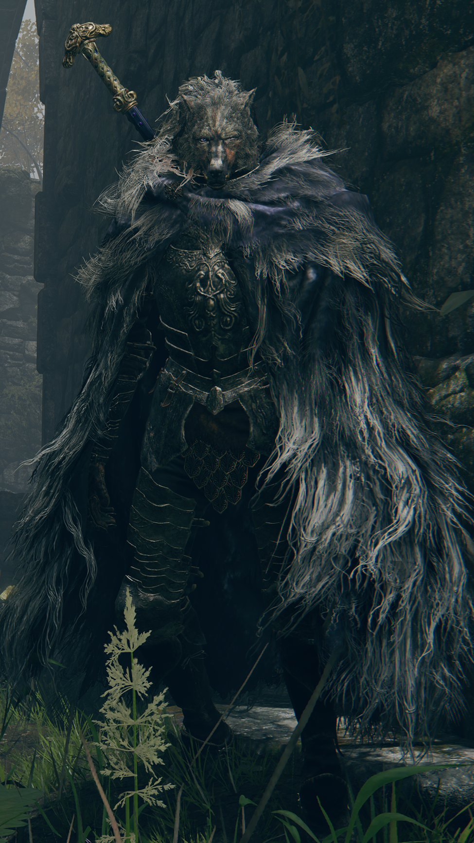 Blaidd the Half-Wolf - Full Body