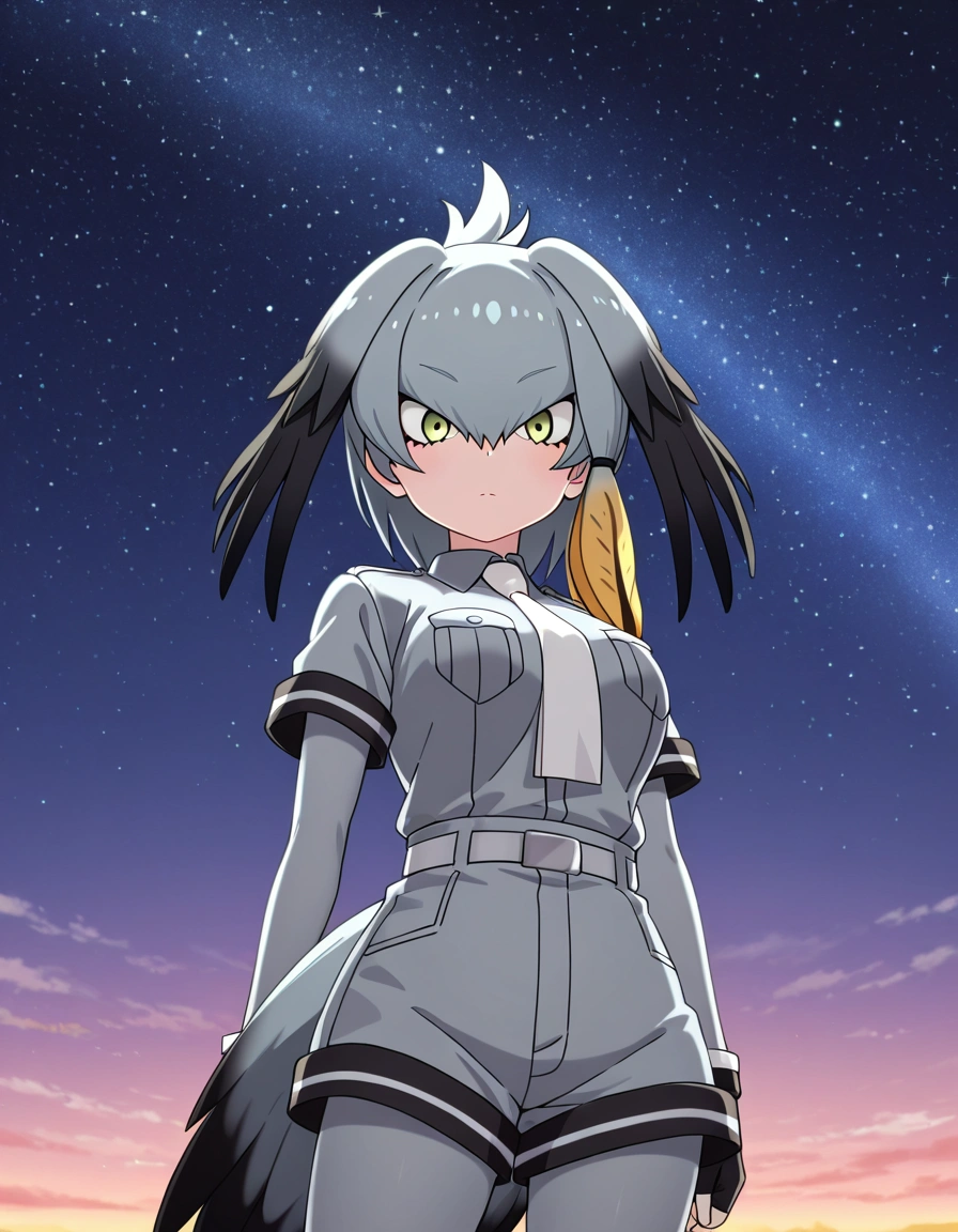 Shoebill