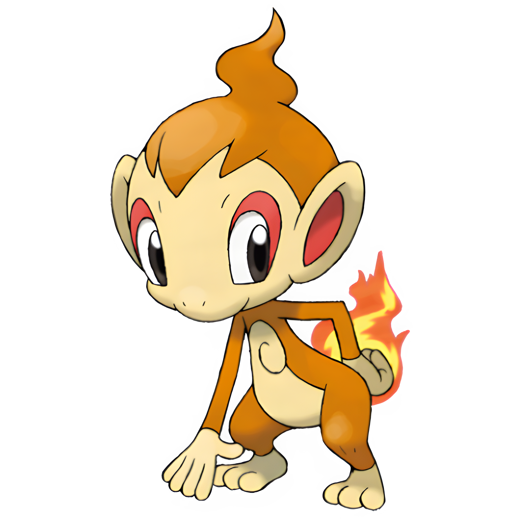 Chimchar - Full Body