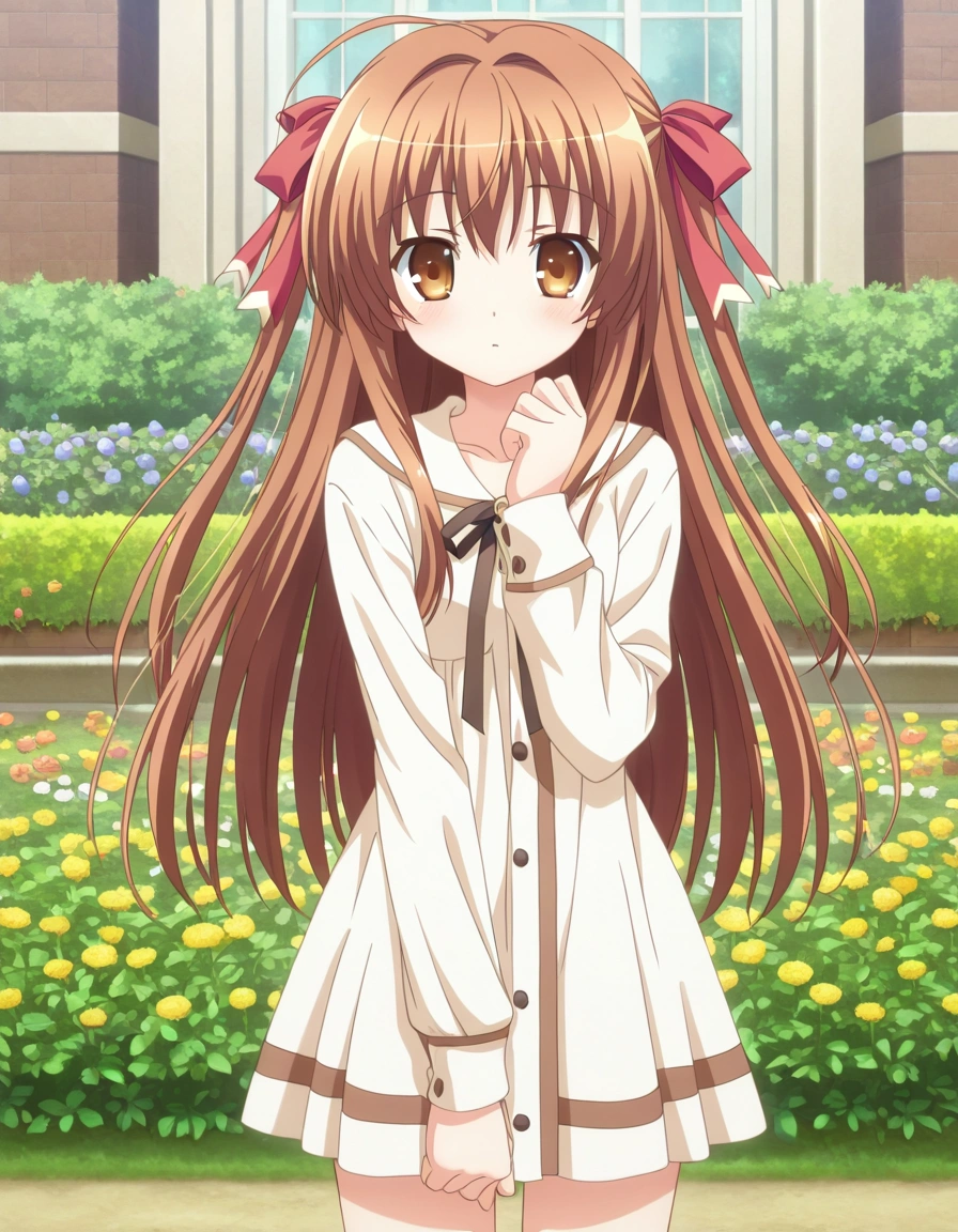 Amakase Koyuki