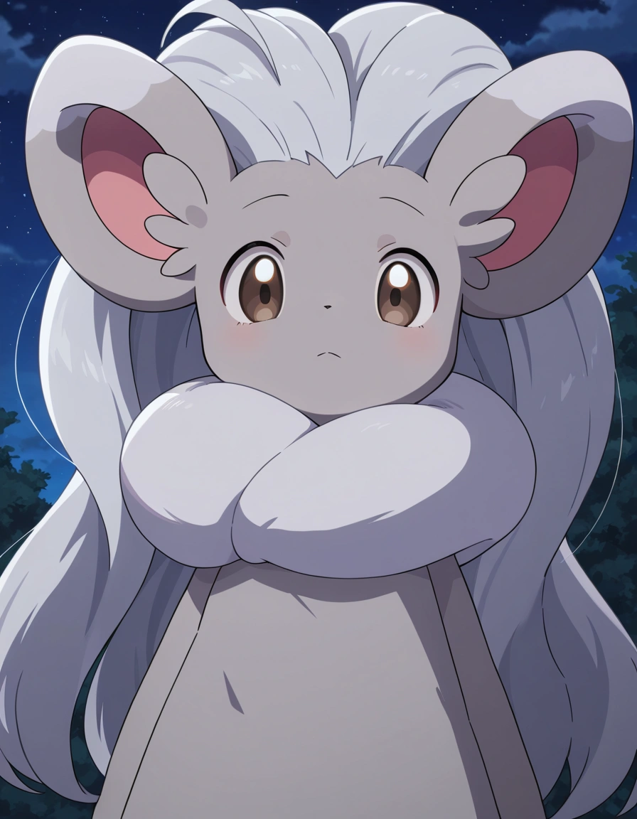 Cinccino