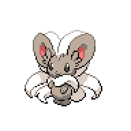 Cinccino - Full Body