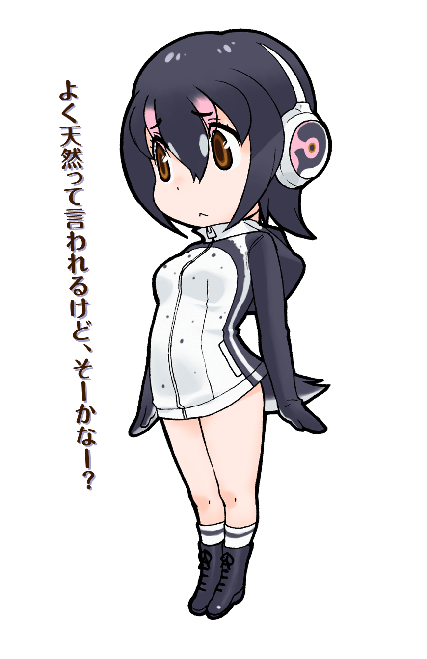 Humboldt Penguin - Full Body