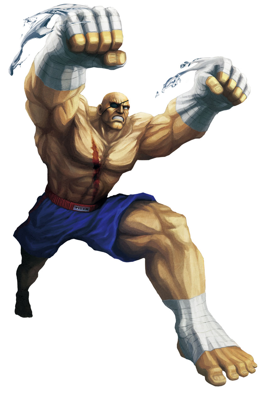 Sagat - Full Body