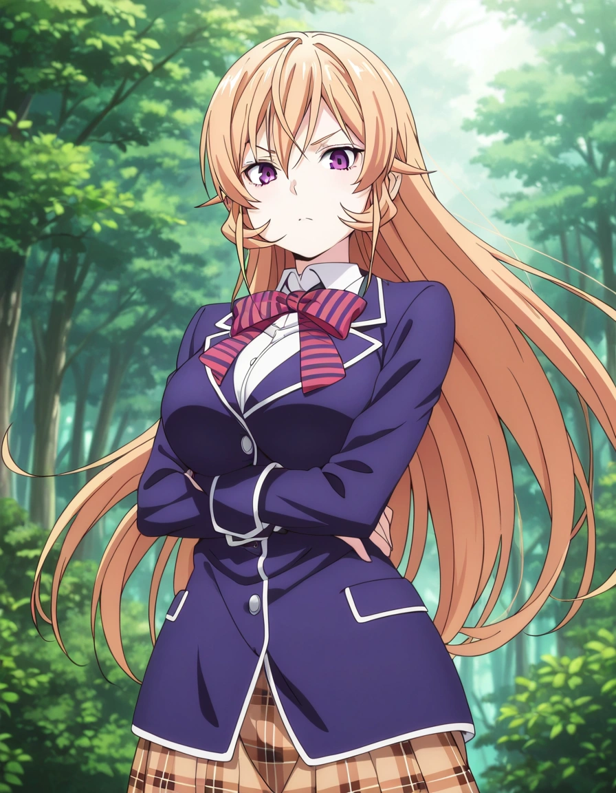 Nakiri Erina