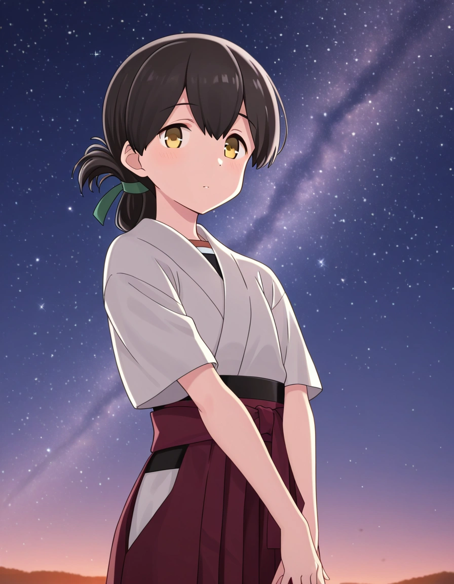 Kasuga Maru