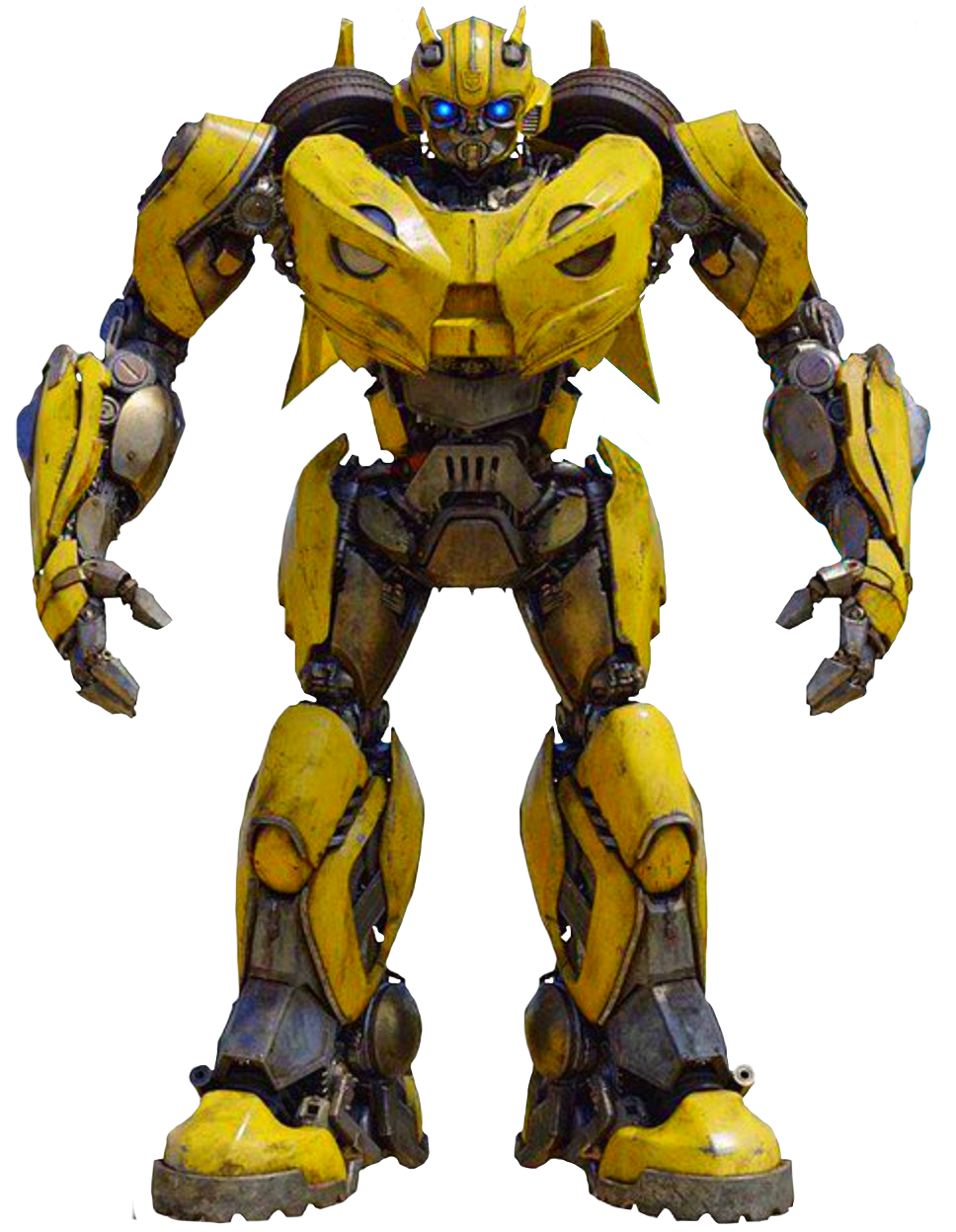 Bumblebee - Full Body