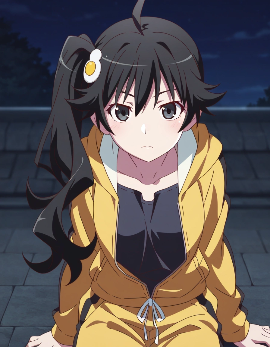 Araragi Karen