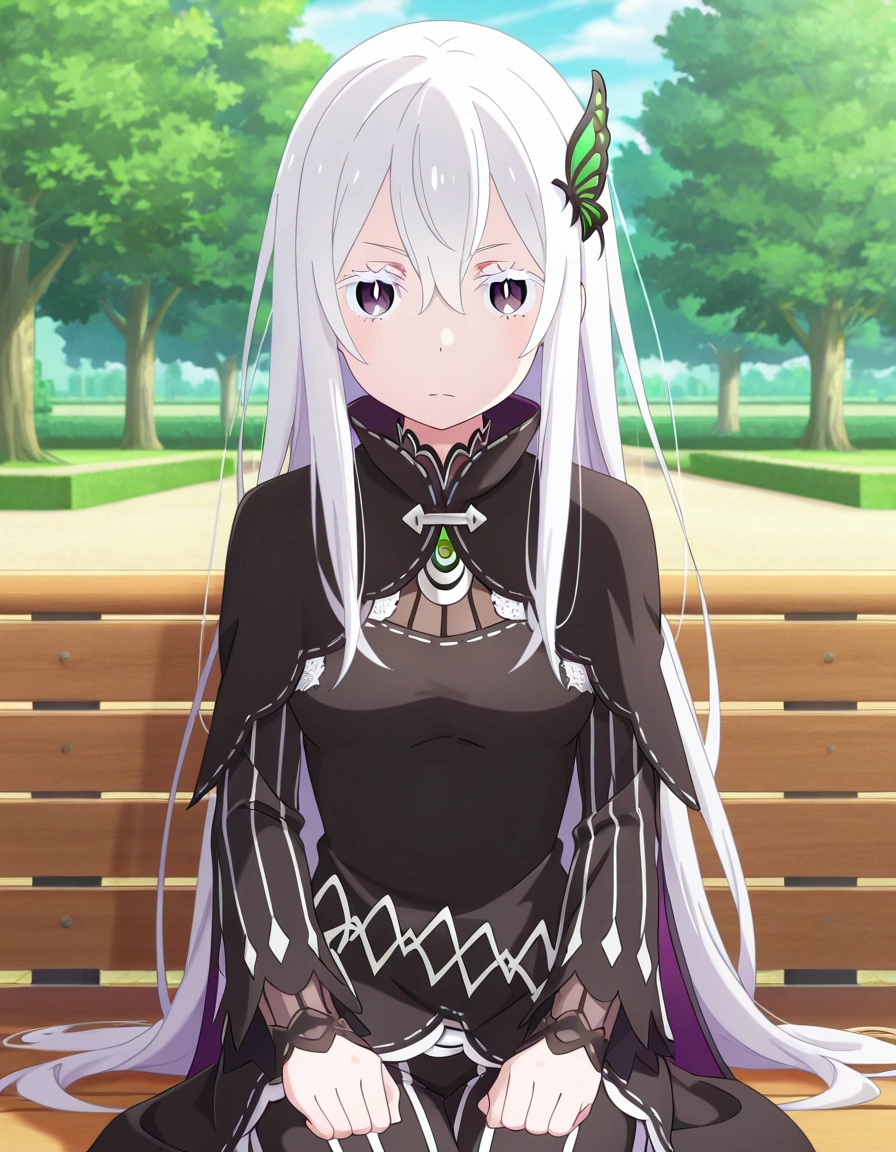 Echidna