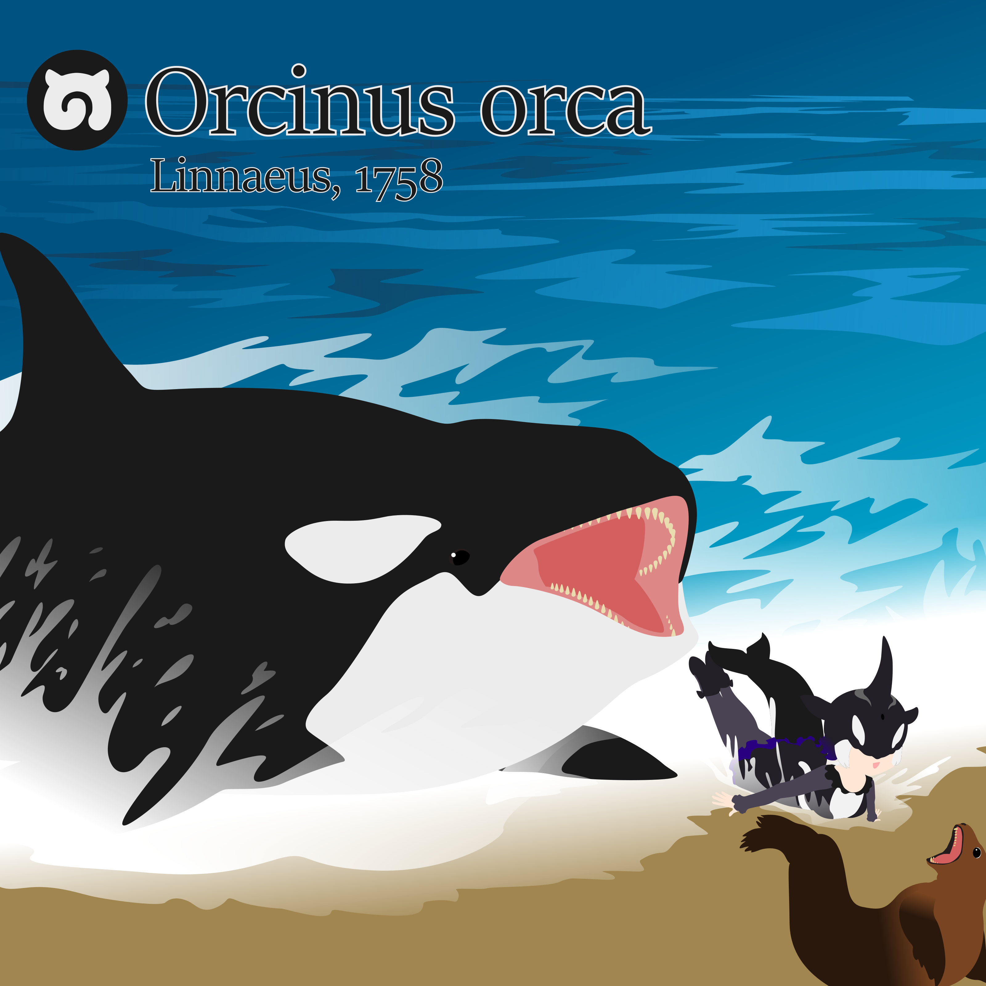 Orca - Full Body